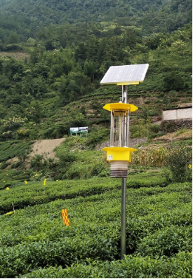 YH-WLW-YTZ型物聯網自動清蟲太陽能殺蟲燈